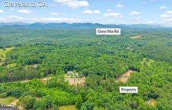 Gene Nix Road, Cleveland, GA 30528