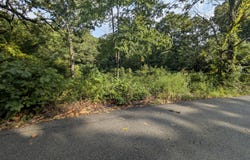 Lot 9 Azalea Lane, Branson West, MO 65737