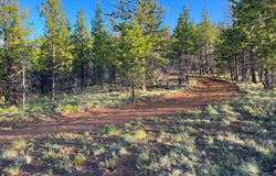FS Rd 613, John Day, OR 97845
