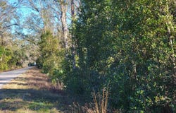 Pharo Morgan Road, Perry, FL 32347