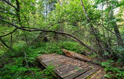 NHN Ashley Lake Road, Kila, MT 59920