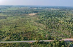 Black Creek Road, Clayton, NY 13624
