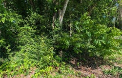482 Blue Jay, Diamond City, AR 72630