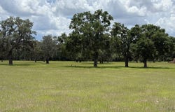 0 NW 27th St, Dunnellon, FL 34432