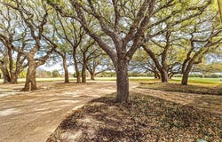 121.5 Ac.  Tbd N Lone Star Parkway, Valley Mills, TX 76689