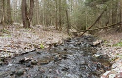 154 Walker Rd, Nineveh, NY 13813