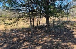 000 Grassyville RD, Paige, TX 78659