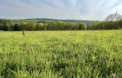 WP0 Rolling Meadows Rd., Livingston Manor NY, NY 12758