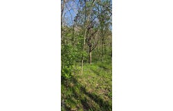 8332 Portland Lane, Dittmer, MO 63023