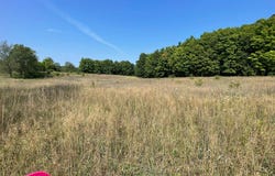 17+Acres Marsh Rd, Kingsley, MI 49649
