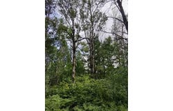 159th Avenue, Sebeka, MN 56477