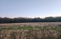 694 County Road 4919, Quitman, TX 75783
