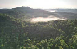 0 Bull Creek Rd, Cornettsville, KY 41731