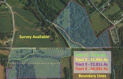 239 Mint Springs Road, New Market, AL 35761