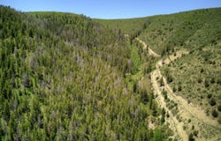 TBD County Road 249, Rifle, CO 81650