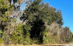 11147 W STATE PARK ST, Other City - In The State Of Florida, FL 34428