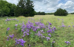 Tbd County Road 156, Georgetown, TX 78626