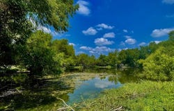 Tbd County Road 1520, Bonham, TX 75418