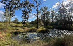 Polk Road 178, Mena, AR 71953
