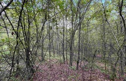 269 Walker Rd, Higginson, AR 72068