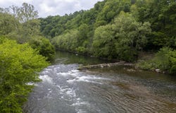 1659 Lungsford Mill Rd Road, Hiltons, VA 24258