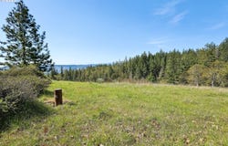 33 Acres off Canyon RD., Lyle, WA 98635