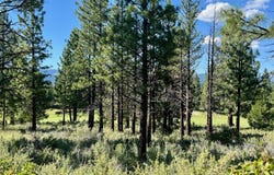 928 Red Sky, Portola, CA 96122