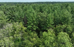 E V/L 48TH, NEWAYGO, MI 49337