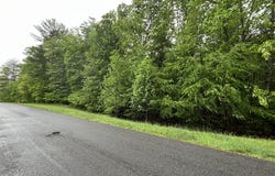 Tbd Wood Lane, Hillsville, VA 24343