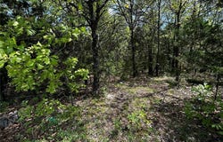 0 Highway 47, Lonedell, MO 63060