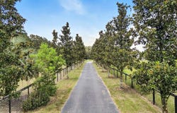 1960 SE 150TH STREET, SUMMERFIELD, FL 34491