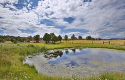 120 Pacheco, Penasco, NM 87553