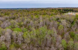 X Highway 641 Highway, Parsons, TN 38363
