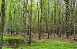 John Joy Road Lot 2, Woodstock, NY 12498