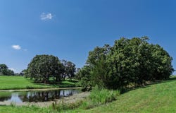 19488 S 1475 Road, Stockton, MO 65785