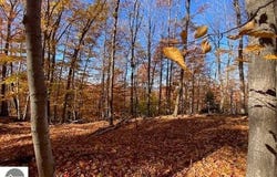 Tyrrell Beach Road, Ellsworth, MI 49729