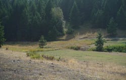 TBD WELLMAN RD, REPUBLIC, WA 99166