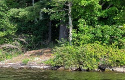 1210 Lakeview Drive, China, ME 04358