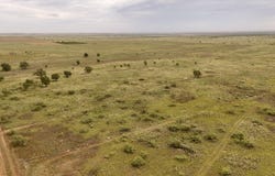 CR 525, Brownfield, TX 79316