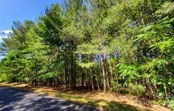 23/24 Loblolly Lane unit: 23/24, Mill Spring, NC 28756