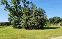 00 Mcrae St, Atmore, AL 36502