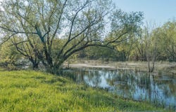 Texarkana, AR 71854
