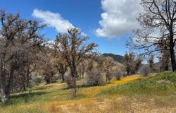 0 School St, Lot 4, Caliente, CA 93518