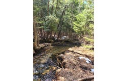 46.6 Acres +/- Vacant Land US-131, Boyne Falls, MI 49713
