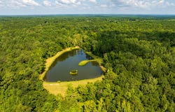 110 Acres Talbotton, Butler, GA 31006