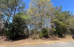 825 Co Rd 2205, GOSHEN, AL 36035