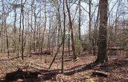 001 TBD Versailles  DR, Bull Shoals, AR 72619