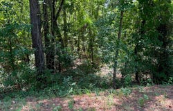 3065 Peach Orchard Road, Sumter, SC 29404
