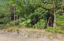 Tbd Roxborough, Elloree, SC 29047