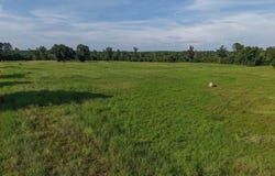 Cr 1778, Linden, TX 75563
